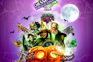 KEY VISUAL 1000 X 1000Px Web Page