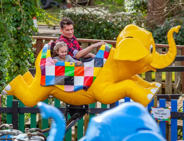 Elmer S Flying Jumbos