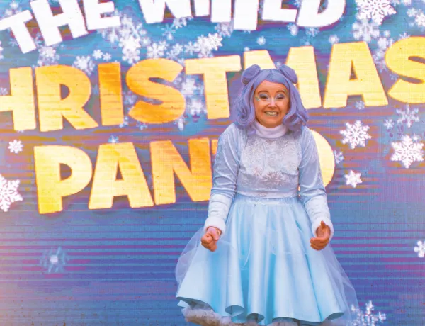Christmas Panto 1000X1000px